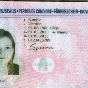 Buy Belgium Drivers License