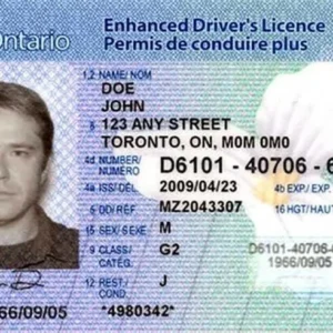 Buy Canadian Drivers license