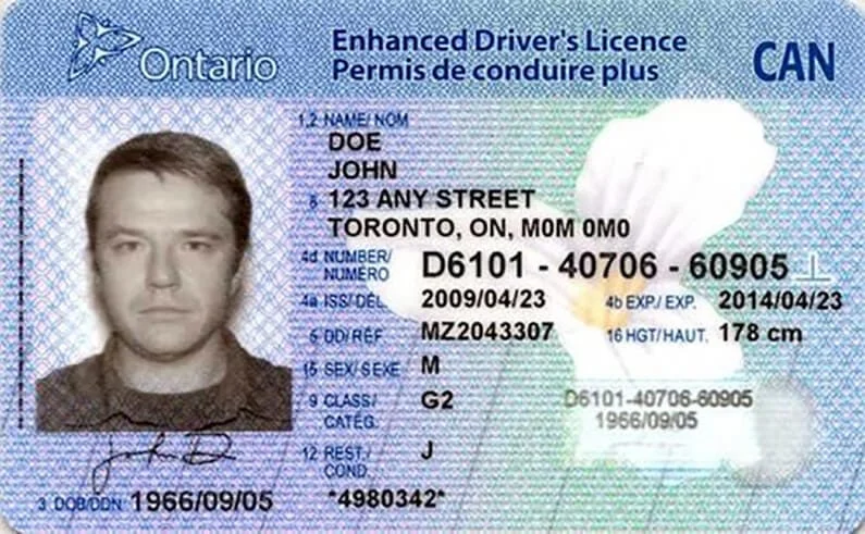 Buy Canadian Drivers license